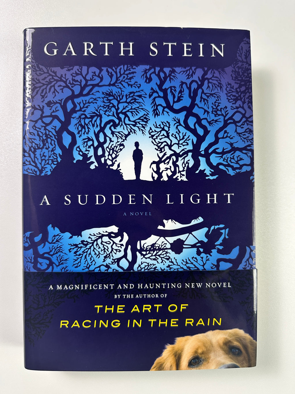 A Sudden Light: A Novel SIGNED by Garth Stein