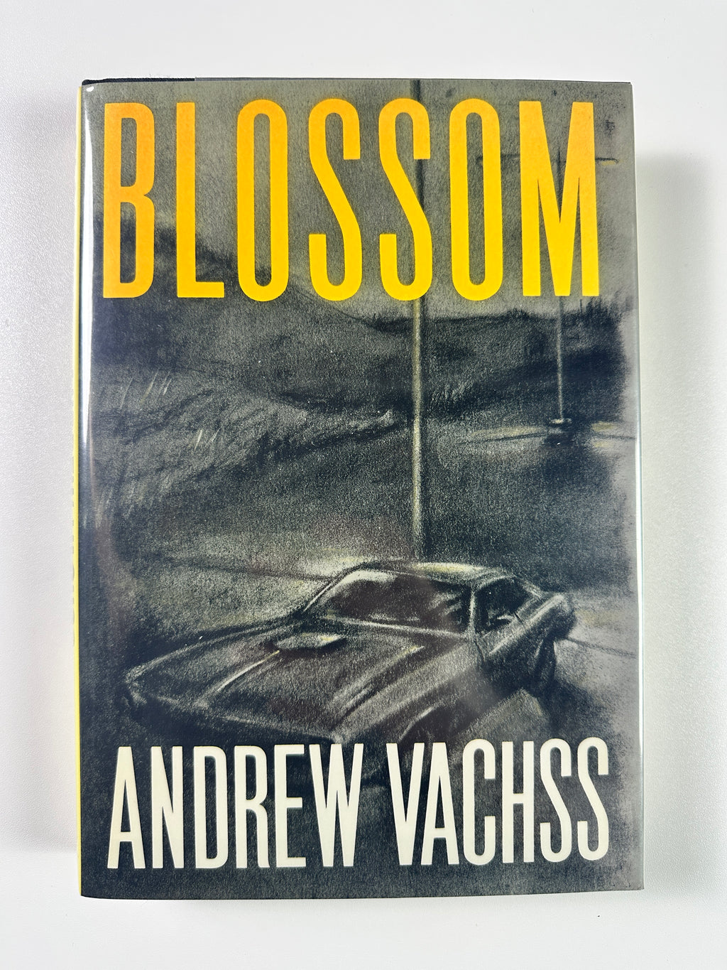 Blossom SIGNED by Andrew Vachss