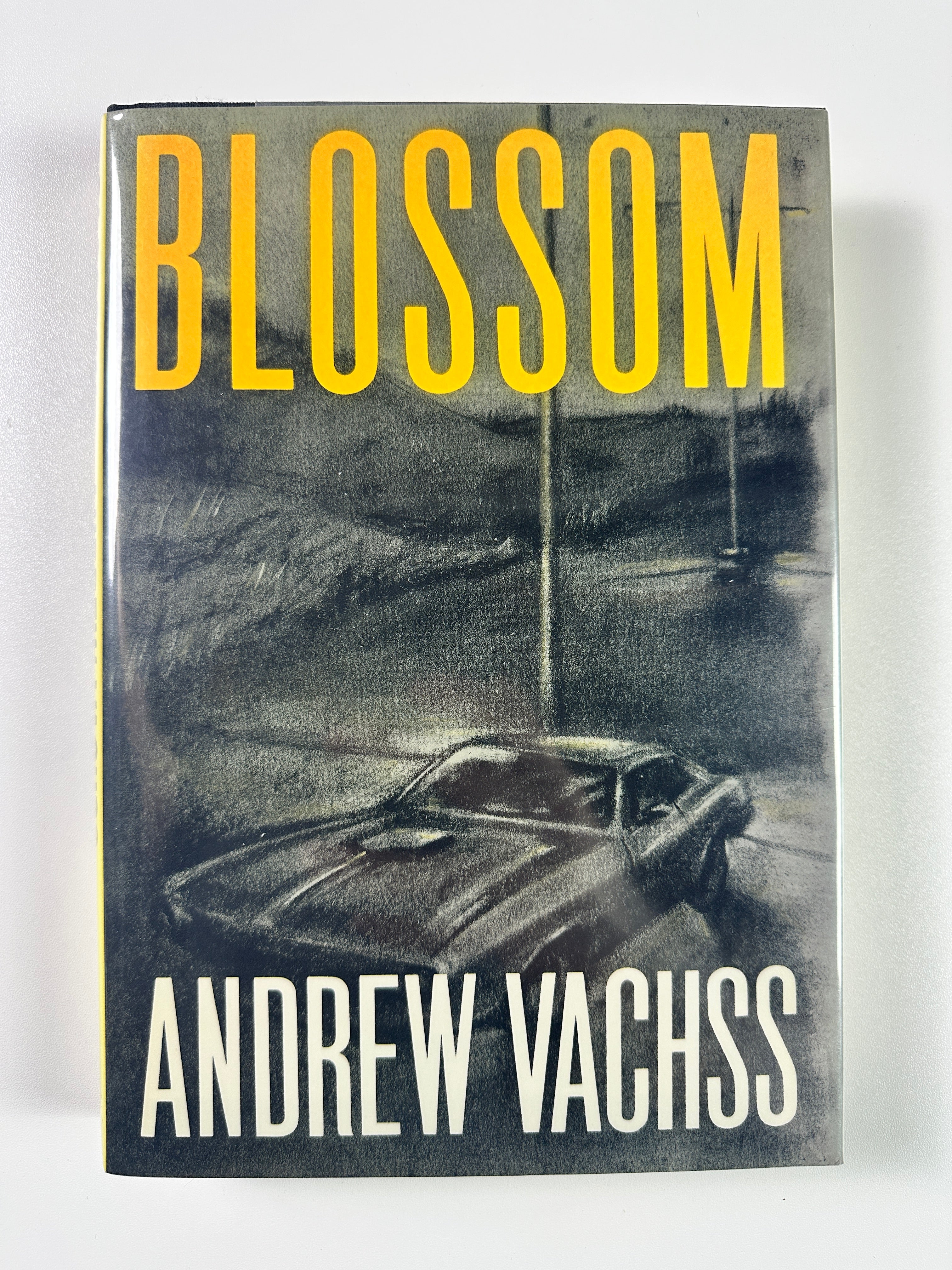 Blossom SIGNED by Andrew Vachss
